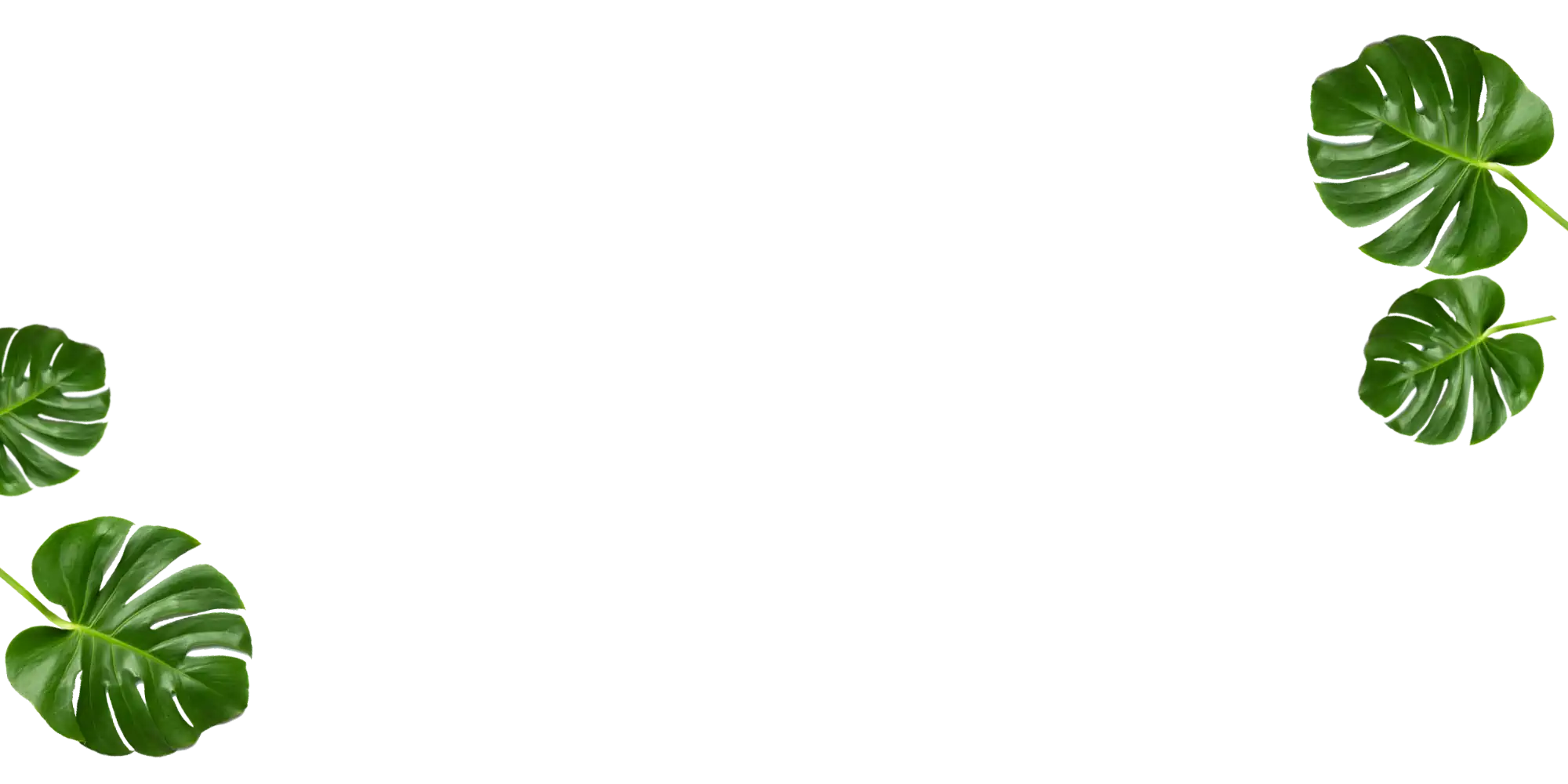 hintergrund-massage-grune-blatter